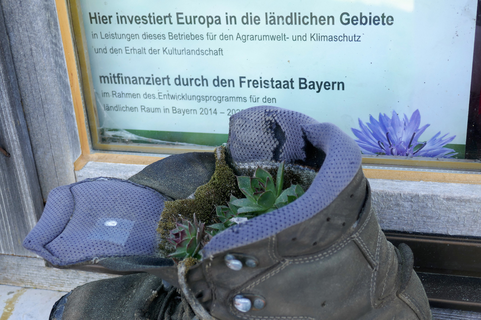 ... damit die Nichtbayern was zum Lästern hamm ...