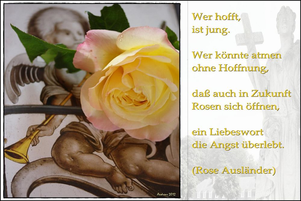 Download Rose auslaender zitate For Free