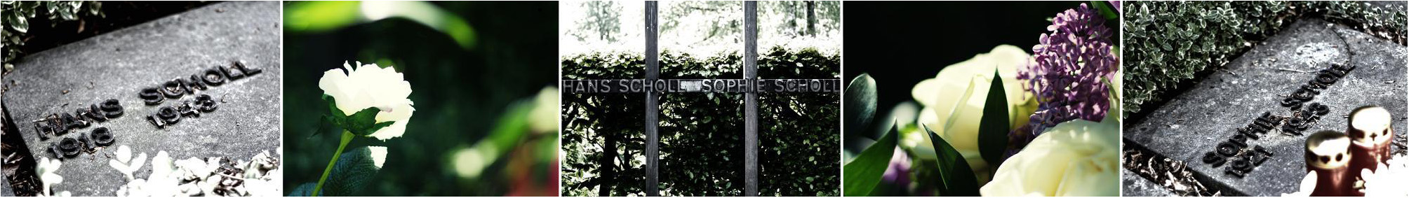 ... damit wir uns nicht verlieren ...