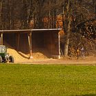 Damit´s im Winter warm wird (Hackschnitzel für den Hausgebrauch)