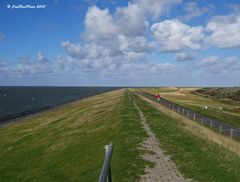 Damm auf Föhr