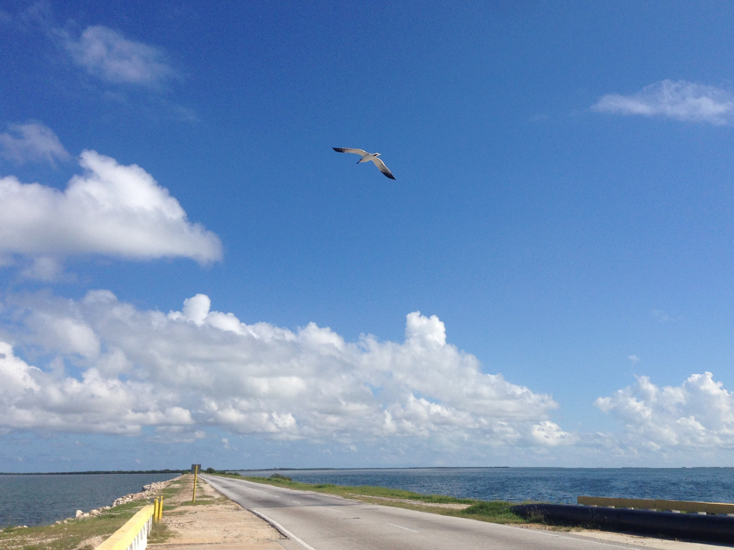 Damm nach Cayo Coco