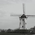 Damme - Windmühle
