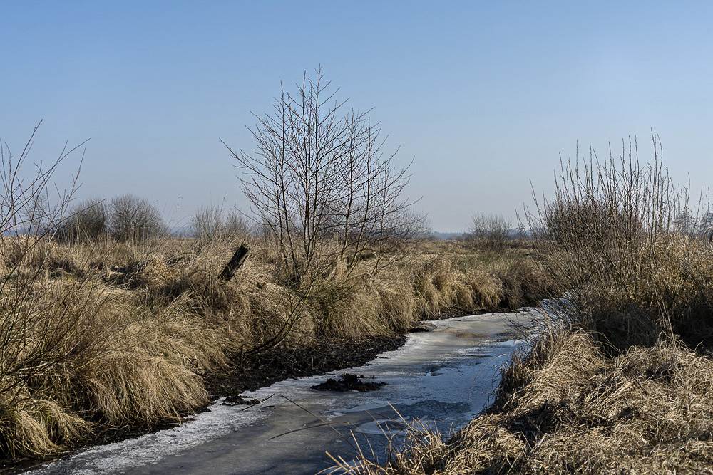Dammgraben Foto & Bild | bäume, felder, natur Bilder auf fotocommunity