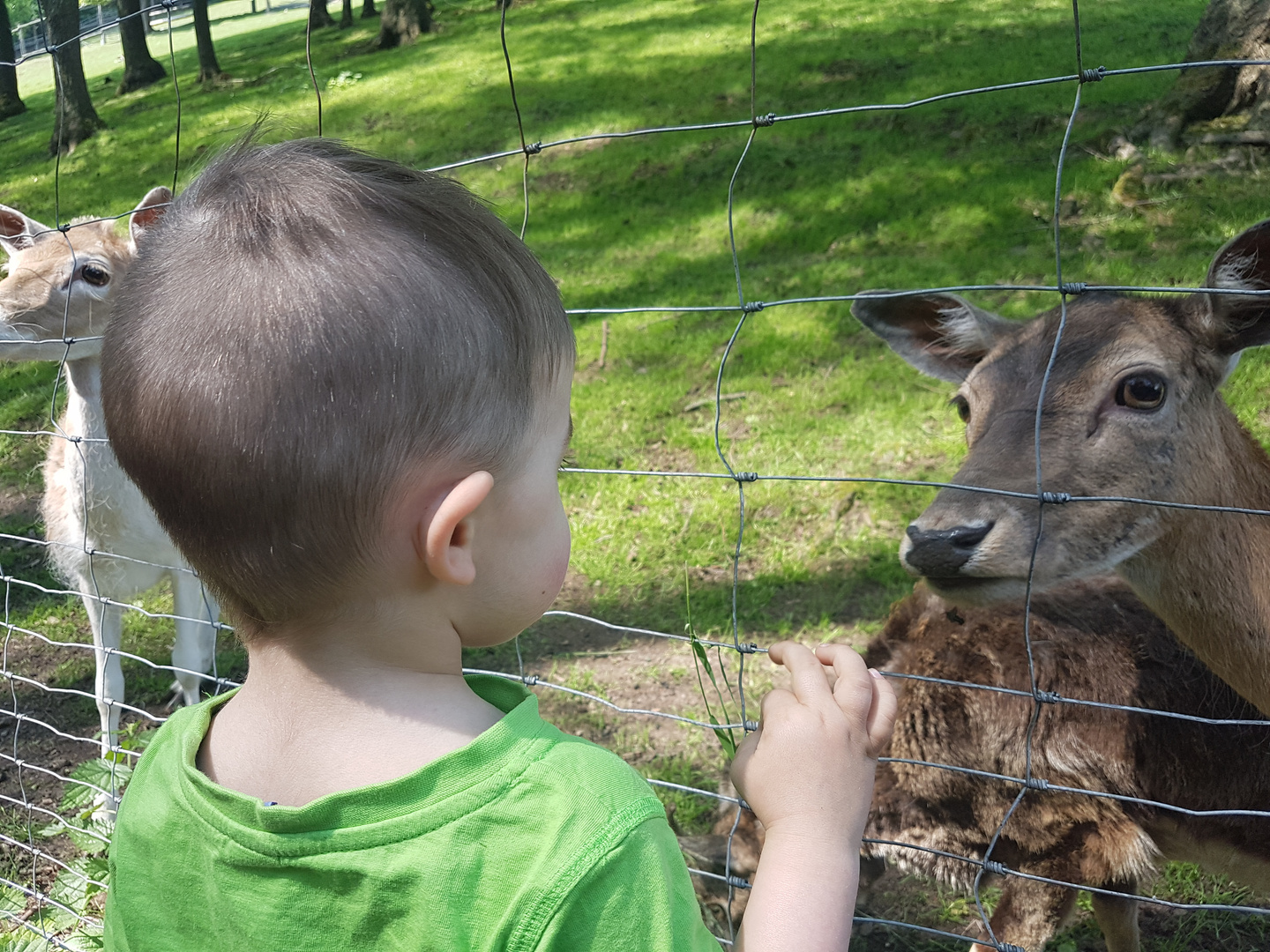 Dammwild... so nah..."Nehmen wir es mit nach Hause Mama?" 