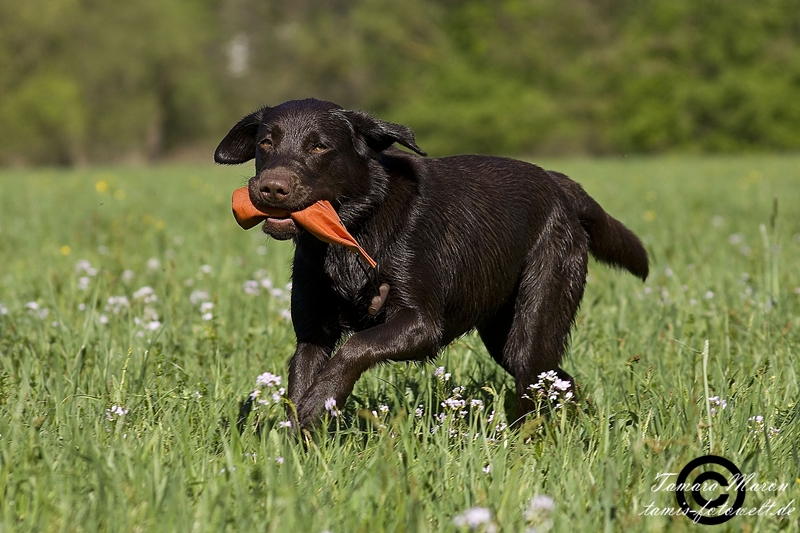 Dammytraining mit Paula