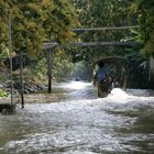 DAMNOEN SADUAK -- In den Klongs