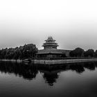 damp forbidden city