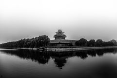 damp forbidden city