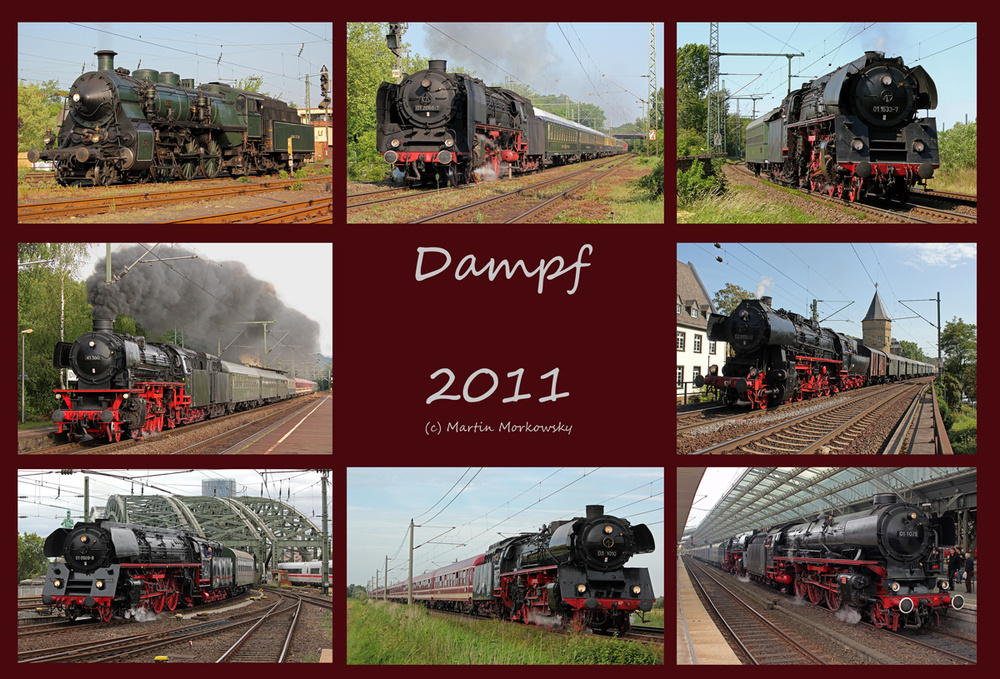 Dampf 2011