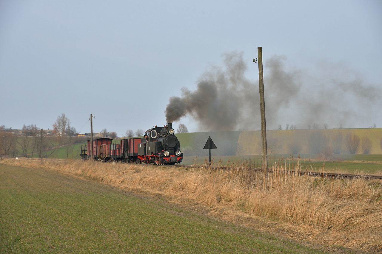 Dampf auf der Zniner Kreisbahn