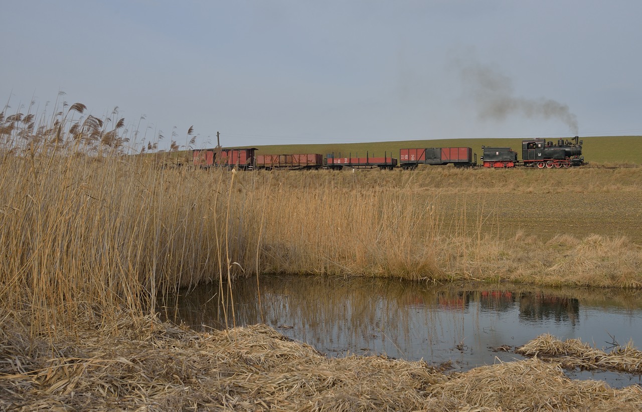 Dampf auf der Zniner Kreisbahn II