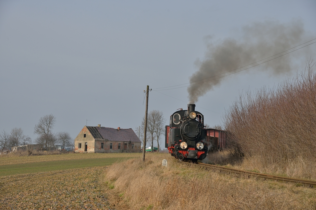 Dampf auf der Zniner Kreisbahn III