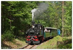 Dampf auf neuer Museumsbahn