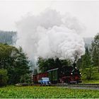 Dampf gibts auch bei bedeckten Wetterlagen