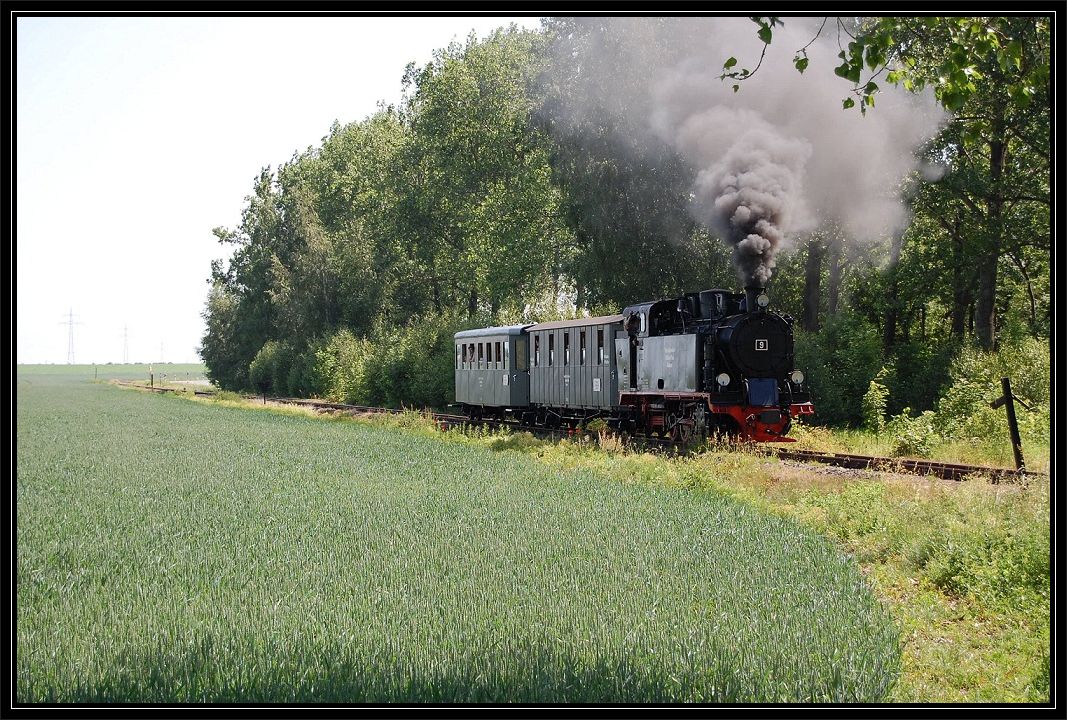 Dampf im Mansfelder Land