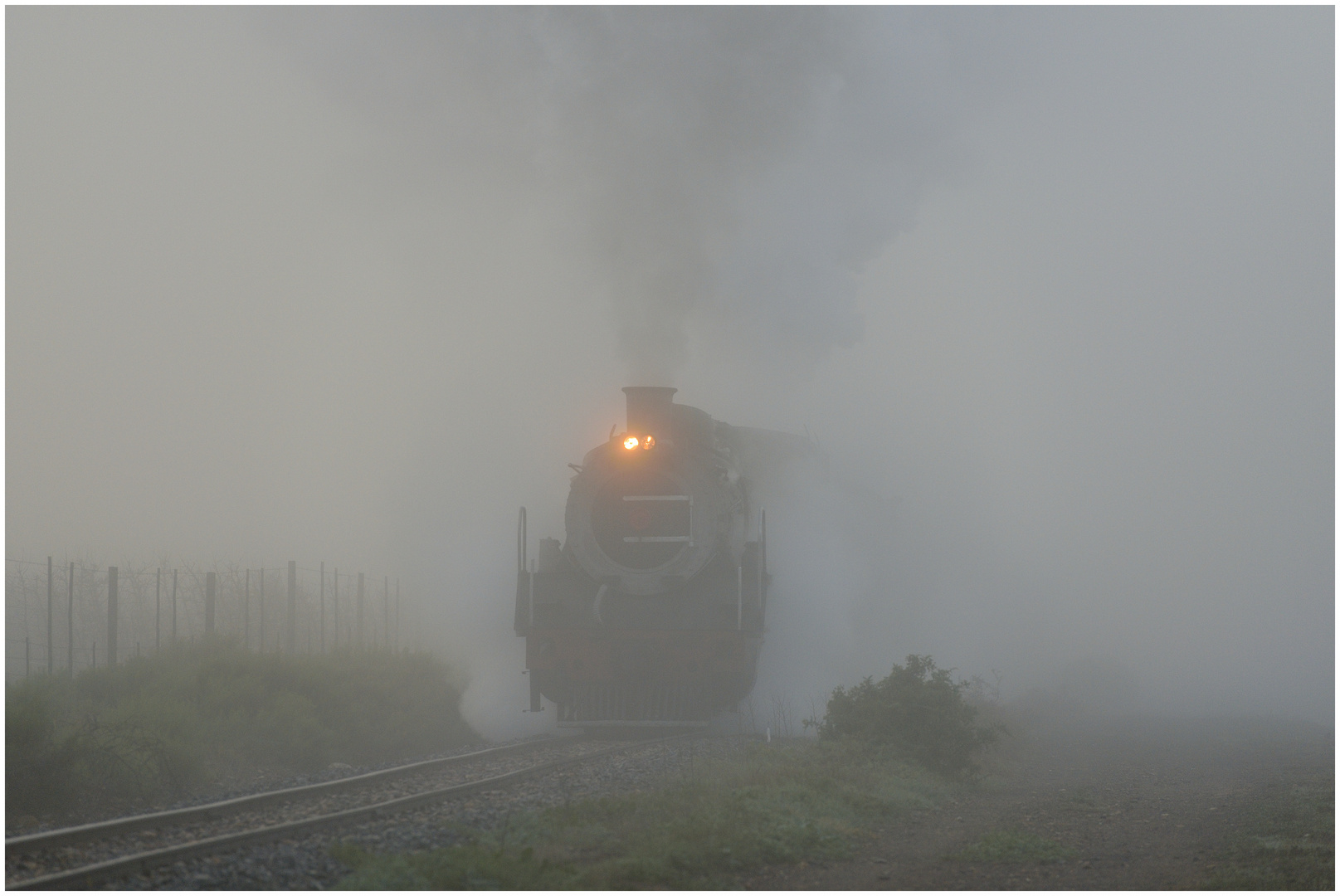 Dampf im Nebel