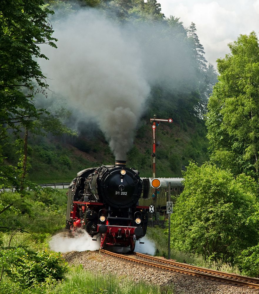 Dampf im Pfälzerwald