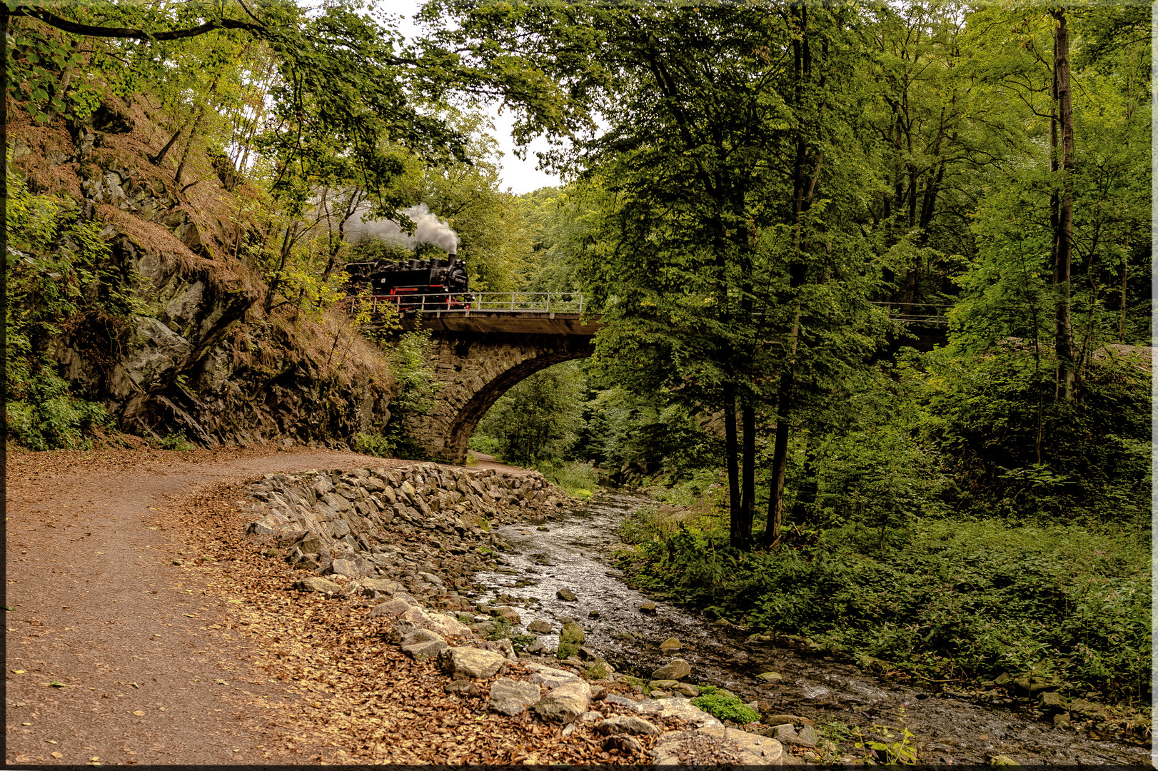 Dampf im Tal der Roten Weißeritz