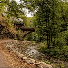 Dampf im Tal der Roten Weißeritz