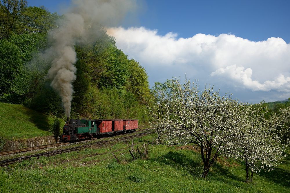 Dampf in Bosnien-Herzegowina I