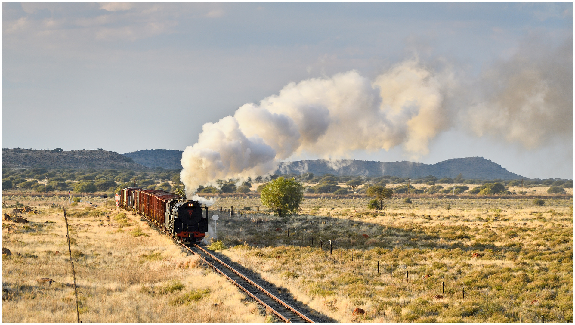 Dampf in der Karoo II