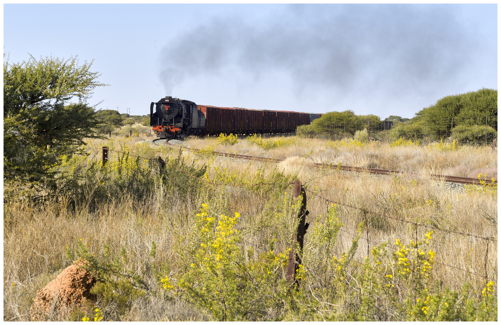 Dampf in der Karoo V