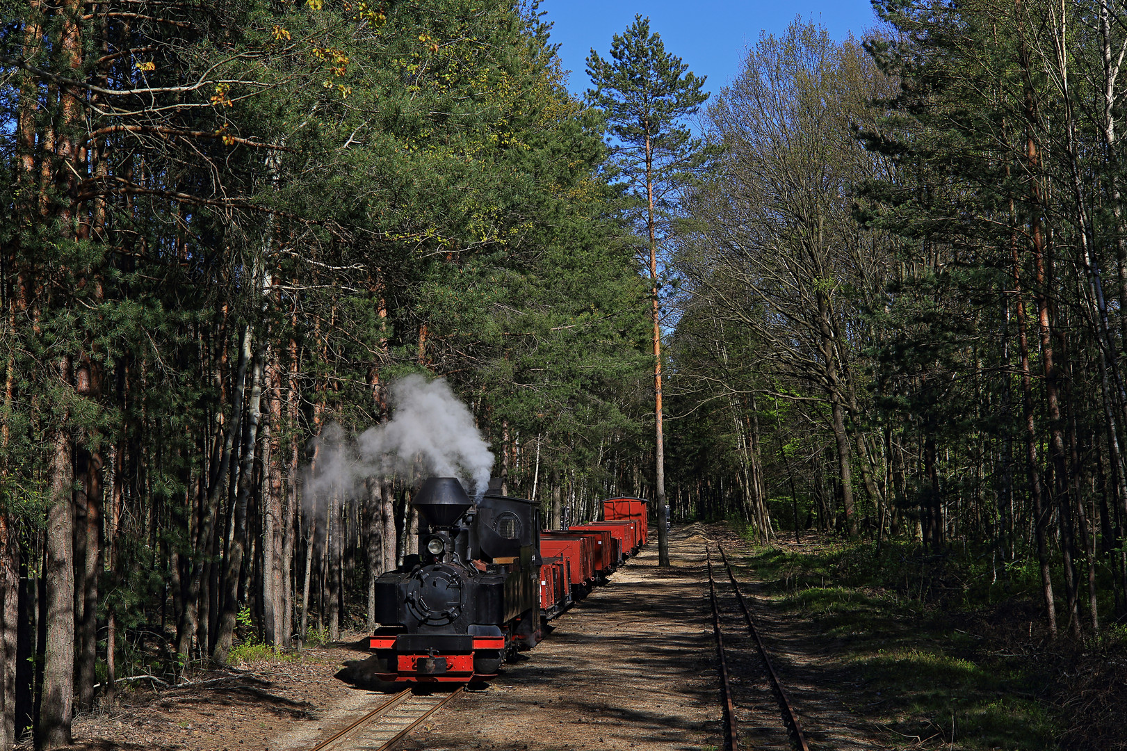 Dampf in der Lausitz 7