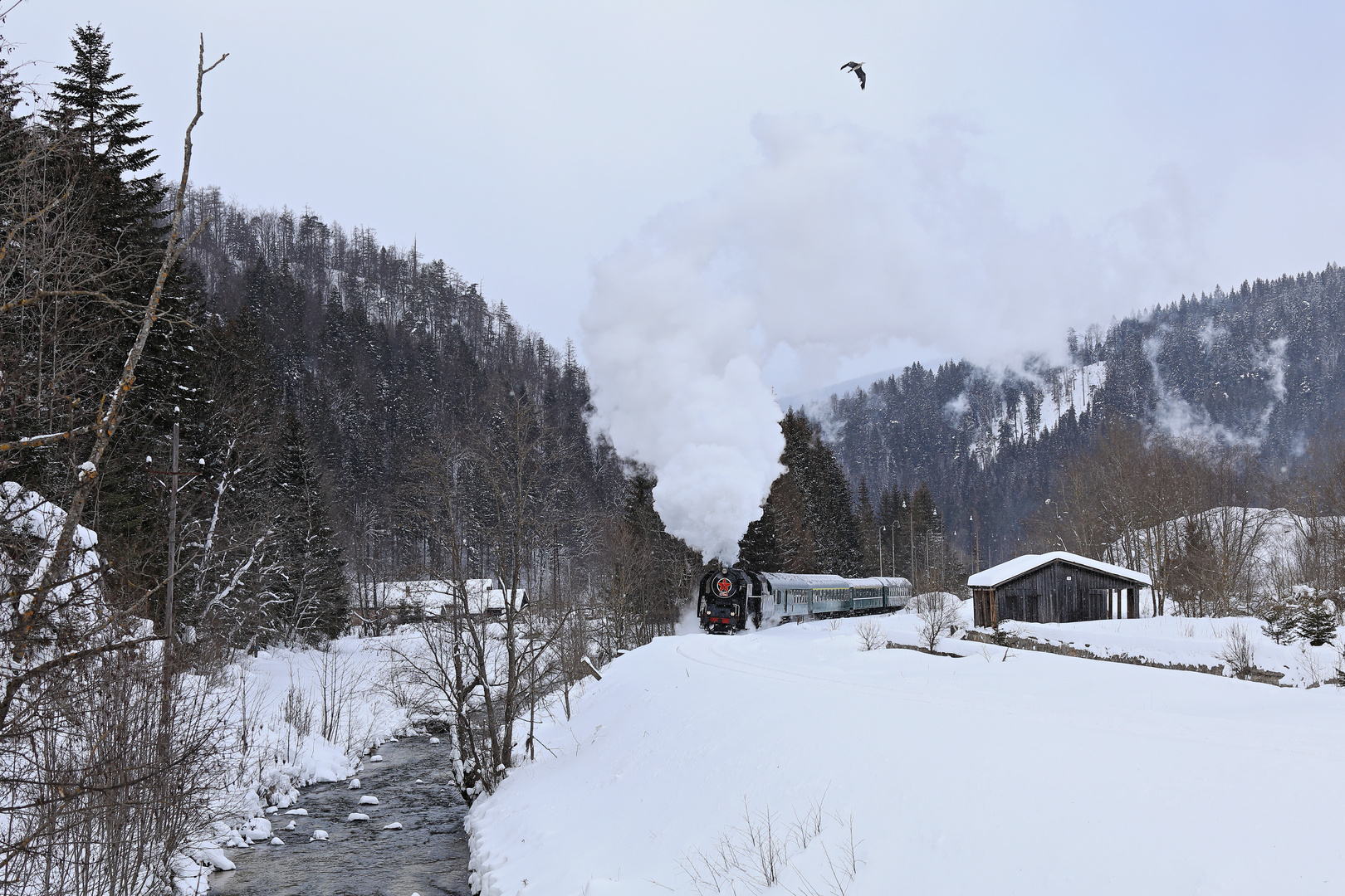 Dampf in der niederen Tatra 04