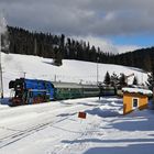 Dampf in der niederen Tatra 12