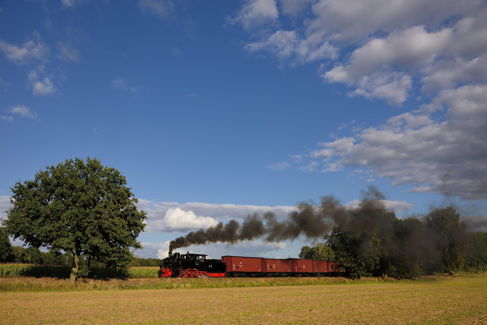 Dampf in der Prignitz