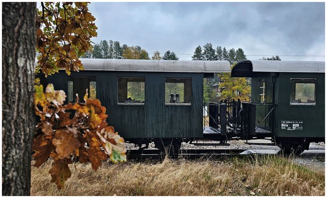 Dampf in Niederösterreich -19