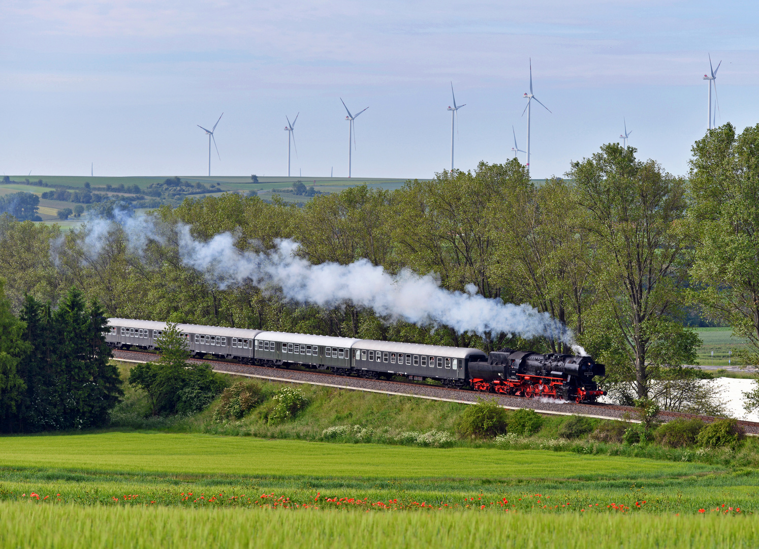 Dampf in Rheinhessen