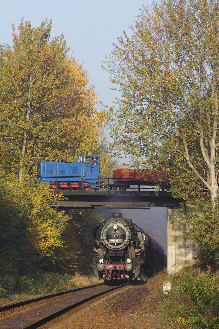 Dampf trifft Muskauer Waldeisenbahn