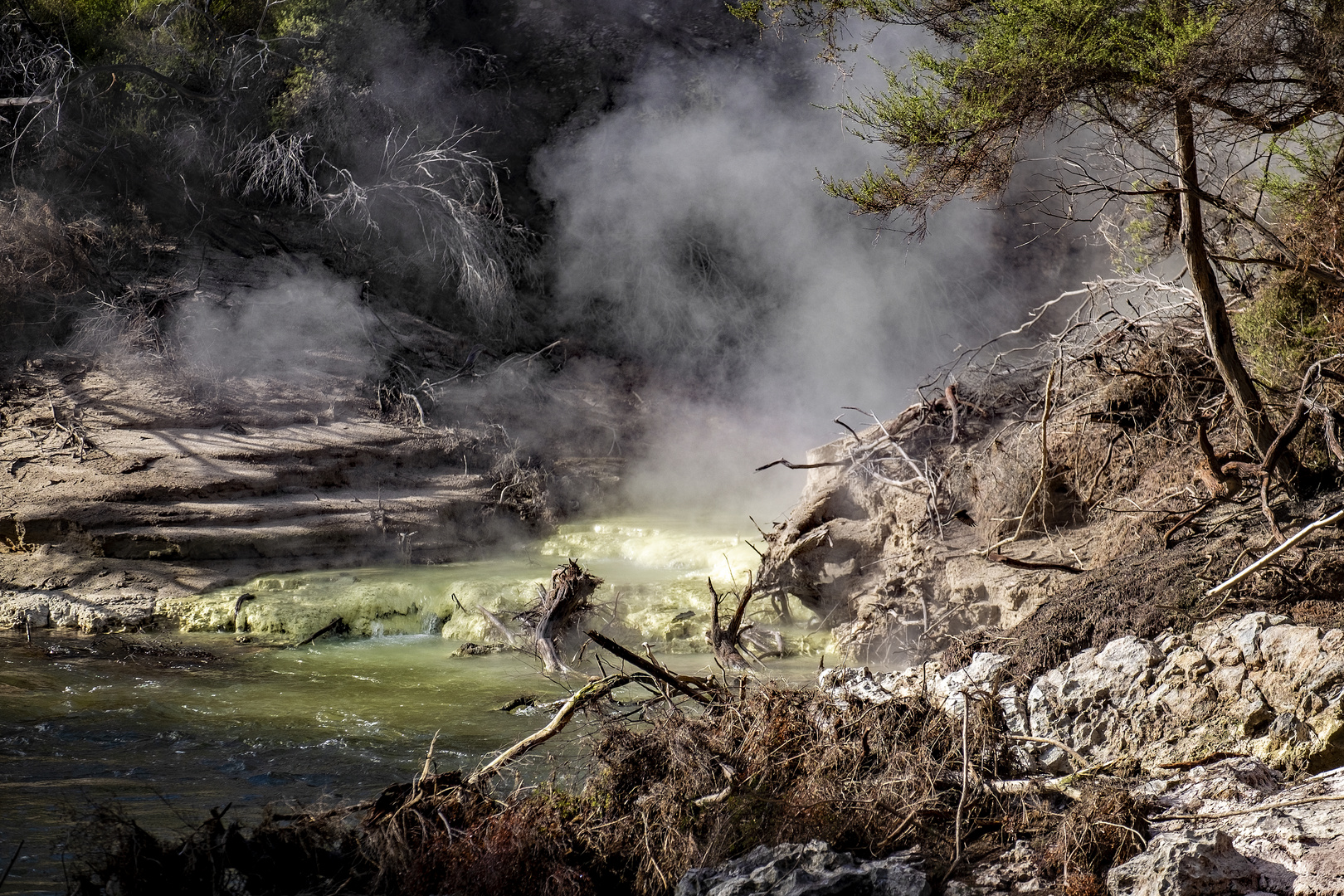 Dampf, Wasser, Schwefel: Wai-O-Tapu Geothermalpark in Neuseeland (Nordinsel)