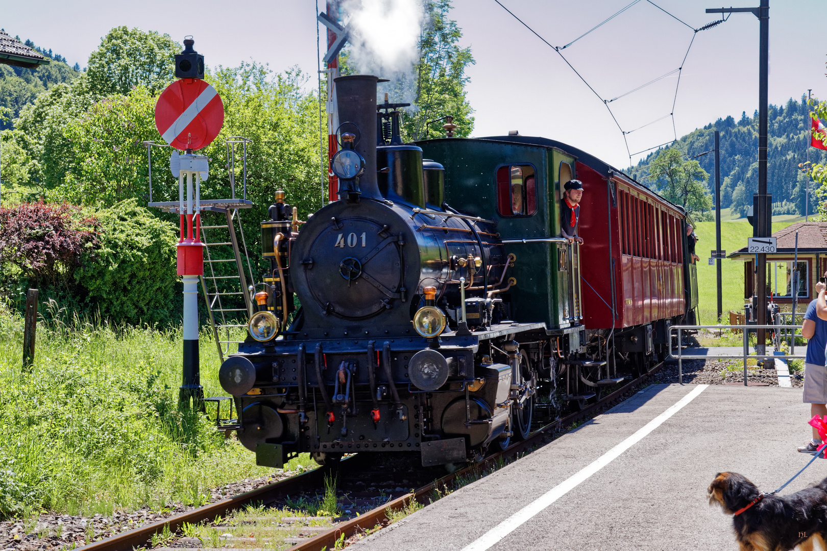 Dampfbahn Verein Zürcher Oberland