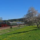 Dampfbespannter Postzug