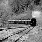 Dampfeisenbahn - Nostalgie -Schwarzweißer Freitag