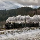 Dampfeisenbahn pur.