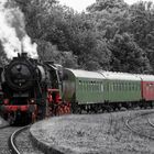 Dampfeisenbahn schwarz weiss teilcoloriert