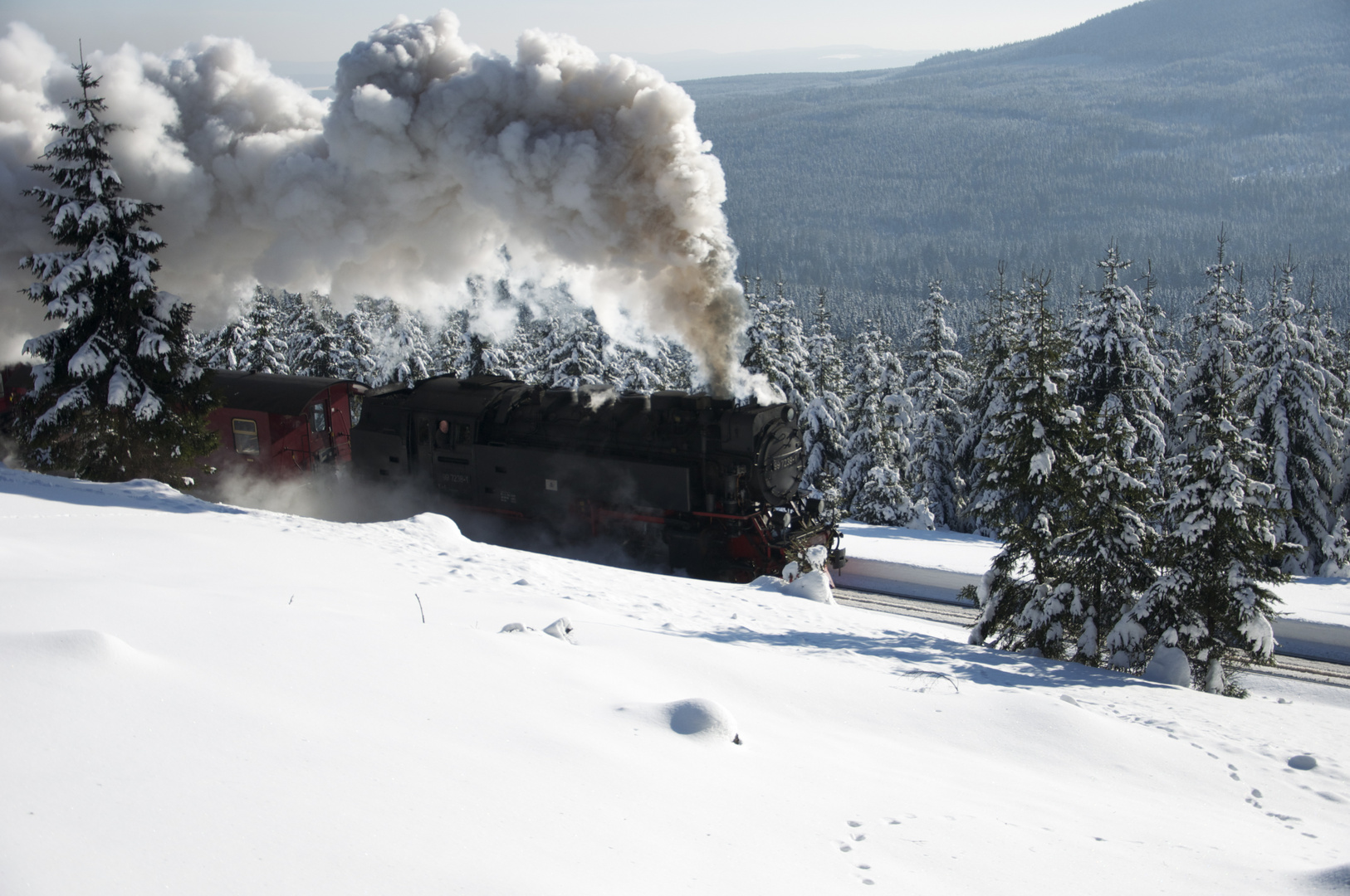 dampfend durch den Schnee