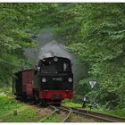 Dampfend durch einen natürlichen Tunnel