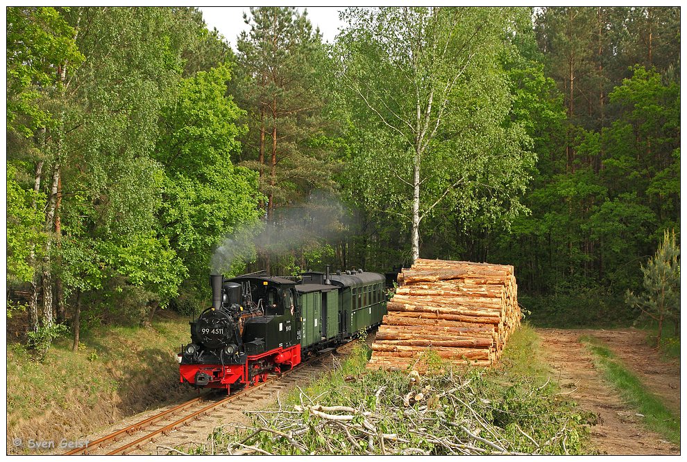 Dampfend vorbei am Holzstapel