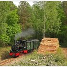 Dampfend vorbei am Holzstapel