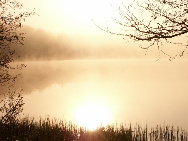 Dampfende See