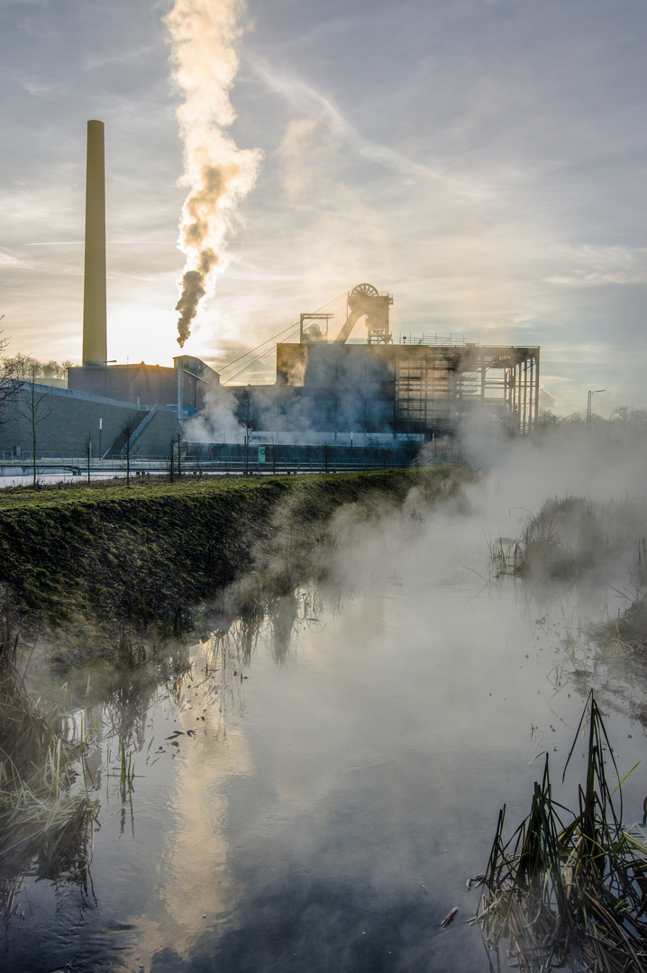 Dampfende Wassergärten in Landsweiler-Reden