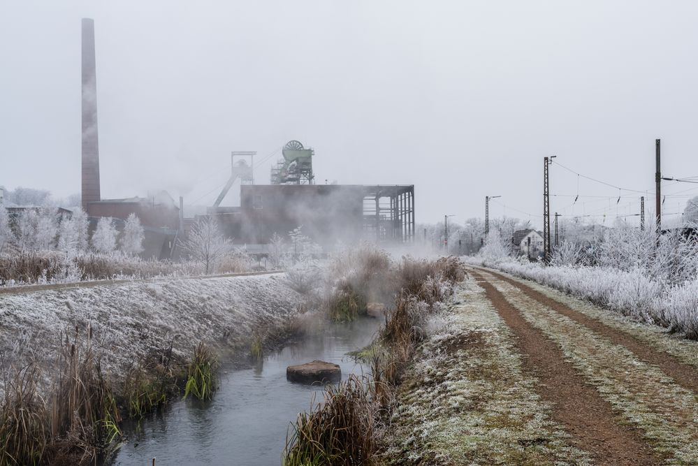 Dampfende Wassergärten Landsweiler-Reden