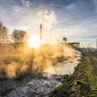 Dampfende Wassergärten Landsweiler-Reden