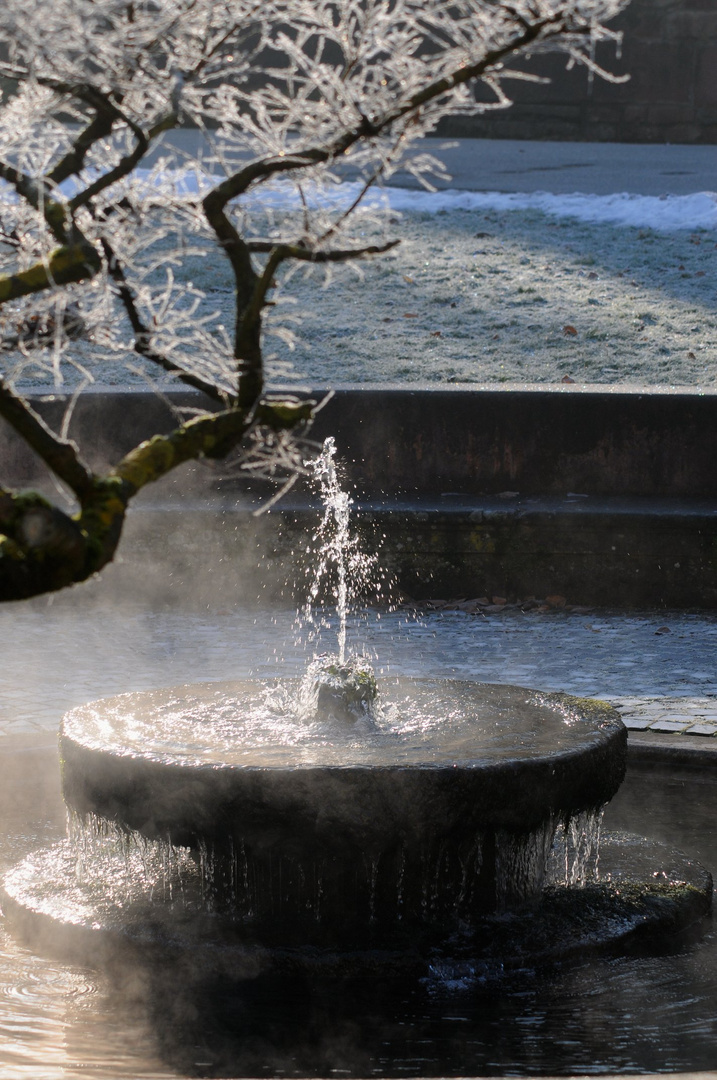 Dampfender Brunnen im Winter