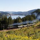 Dampfender Titisee